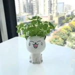 1pc Ceramic Flowerpot Mini Cat Cartoon Cute Plant Desktop Potted Plant Pot DIY Decorate Toys Science Education School Gifts 5