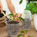 10/5x Seed Plant Nursery Pots Elegant Plastic Easy Use Plant Contai Mini Flowerpot Inside Succulents Gardening Supplies Planters 4
