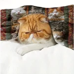 1pc Cozy Cat Lover's Plush Blanket - Soft Throw for Sofa Naps Office Breaks Travel Camping - Perfect Home Decor Gift 4