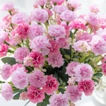 5 forks 15 heads small carnation for wedding arch decor christmas Garland accessories home Floral Arrangement artificial flowers 2