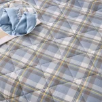 Summer Thin Comforter Soft Air-Conditioned Four Season Comforter Machine Washable Single Double Blanket Ultrasonic Quilted Quilt 4