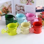New Metal Watering Can Garden Flower Kettle Mini Small Water Spraying Pot Sprinkle with Large Capacity For Kids Adult 2