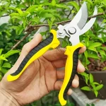 Stainless Steel Professional Gardening Shears Pruning branches Fruit trees Flowers Household Pruning Tools Shears 3