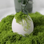 30/50/100g Artificial Green Plants Moss Grass Home Living Room Garden Decoration Mini Landscape Fake Flower DIY Crafts 4