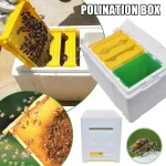 Queen Bee Breeding Box Bee Mating Box Foam Bee Hive Box Beekeeper Garden Pollination Box Bee Breeding Case Beekeeping Equipment 3