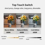 3 Colors in 1 Lamp LED Table Lamp Touch Switch Type C Rechargeable Bedside Night Light Portablefor Club Bar Room Ambient Decor 4