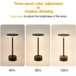 New Chinese table lamp bedroom USB camping atmosphere light indoor bedside LED creativity Gift night light Wireless Touch Lamp 3