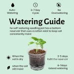 12 Pack 6.5 Inch Clear Self Watering Plant Pots with Bottom Water Tray & Watering Rope, Transparent Nursery Pots with Drainage f 6
