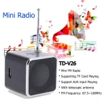 TD-V26 Portable Mini Bluetooth Speaker with Screen FM Radio MP3 Player Support TF Card for Laptop Phone 5