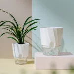 Lazy Hydroponic Flower Pot Automatic Water-Absorbing Flowerpot Transparent Double Layer Plastic Self Watering Planter Office 6