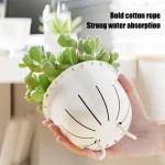 Self Watering Flowerpot Automatic Water Absorbing Flowerpot Transparent Double Layer Plastic Succulent Plant Pot Decorative Pot 5