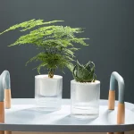 Self Watering Flowerpot Indoor Succulent Hydroponic Plants Pot Mini Planter Pots Fish Tank Tabletop Flower Pot Home Bonsai Decor 3