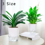 Transparent Self-Watering Plant Flower Pot Hexagonal Lazy Flowerpot Plastic Planters Home Garden Decoraction 2