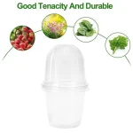 10/5x Seed Plant Nursery Pots Elegant Plastic Easy Use Plant Contai Mini Flowerpot Inside Succulents Gardening Supplies Planters 6