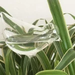 Garden Bird-Shaped Self-Watering Globes Perfect For Automatic Flower Watering And Home Garden Tools Drip Water Seepage Device 5