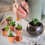 50 Pcs Tiny Terracotta Pots - 1.3 inch Small Mini Clay Pots with Drainage Holes Flower Nursery Terra Cotta Pots for in/outdoor 5
