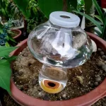 Watering Planter Insert Love ShapedAutomatic Plant Waterer Sprayer Water Drip Irrigation Flower Plant,Drip Water Seepage Device 6