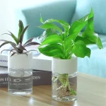 Mini Hydroponic Flower Pot Transparent Soilless Plant Vase for Home Decoration, Imitation Glass Green Plants Pot 4
