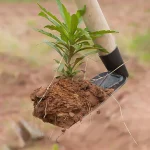 Small Hoe for Digging Soil Garden Hoe Household Outdoor Farming Tools for Planting Vegetables and Flowers 3