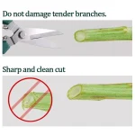 Sharp Garden Tools Secateurs Bonsai Shears Metal Gardening Scissors Pruning Tool Fruit Picking Weed Household Potted Hand Cutter 5