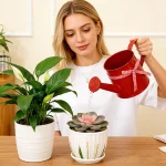 1L Small Metal Watering Can Modern Decorative Plant Watering Pot for Home Office Balcony Garden Indoor Outdoor Bonsai Plants 4
