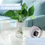 Mini Hydroponic Flower Pot Transparent Soilless Plant Vase for Home Decoration, Imitation Glass Green Plants Pot 5