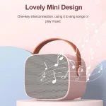 Portable Wireless Dual Microphones Karaoke Machine HomeKTV DSP System Bluetooth Speaker HIFI Stereo Surround For Kids Party Gift 2