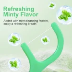 Mint dental floss stick - home portable disposable care dental floss stick - oral care - deep cleaning - interdental cleaning pr 2