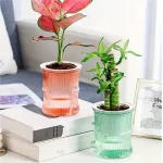 Lazy Hydroponic Flower Pot Automatic Water-Absorbing Flowerpot Transparent Double Layer Plastic Self Watering Planter Office 3