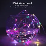 RGBIC LED String WS2812B Bluetooth USB Music Dream Color Light 5V Christmas Birthday Party Garland Decor Fairy Lights for Home 6
