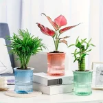 Lazy Hydroponic Flower Pot Automatic Water-Absorbing Flowerpot Transparent Double Layer Plastic Self Watering Planter Office 2