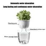 Self Watering Flowerpot Automatic Water Absorbing Flowerpot Transparent Double Layer Plastic Succulent Plant Pot Decorative Pot 3