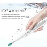 Fairywill Electric Sonic Toothbrush FW-507 USB Charge Rechargeable Adult Waterproof Electronic Tooth Brushes Replacement Heads s 3