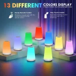 LED 13 Color Changing Night Light Remote Control Touch USB Rechargeable RGB Night Lamp Dimmable Lamp Portable Table Bedside Lamp 3