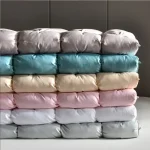 Down duvet 95 white goose down five-star hotel warm double single duvet core goose down duvet 4