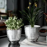 Self Watering Flowerpot Automatic Water Absorbing Flowerpot Transparent Double Layer Plastic Succulent Plant Pot Decorative Pot 2