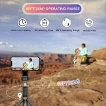 Wireless Lavalier Microphone Audio Video Recording Mini Microphone for iPhone Android Phone Live Broadcast Gaming Mic Portable 4