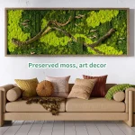 Artificial Green Plants Eternal Life Moss DIY Crafts Grass Garden Home Room Decor Mini Landscape Fake Grass 20/40/100g 4