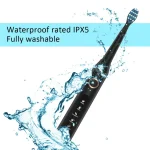 Fairywill FW507 Electric Sonic Toothbrush USB Charger Tooth 8Brush Replacement Waterproof Electronic Toothbrush with Travel Case 5