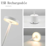 3 Colors in 1 Lamp LED Table Lamp Touch Switch Type C Rechargeable Bedside Night Light Portablefor Club Bar Room Ambient Decor 3