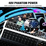 BOMGE 12-Channel Professional Audio Mixer, RCA, XLR Microphone Jack, 48V Power, 99 DSP For Professional and Beginners 4