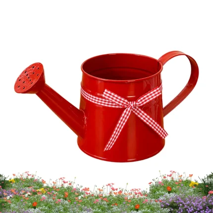 1L Small Metal Watering Can Modern Decorative Plant Watering Pot for Home Office Balcony Garden Indoor Outdoor Bonsai Plants