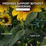 20Pcs Plant Fixed Clips Reusable Garden  Greenhouse Bracket for Fixed Plants Vine Flower  Seedling Stem Suppor t Garden Supplies 3