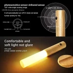 Portable LED Sensor Night Light Usb Power Charging Smart Indoor Wall Lamp for Living Room Stairs Porch 4