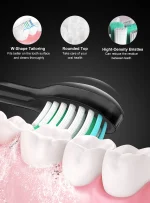 Sonic Electric Toothbrush Smart Ultrasonic Dental Teeth Whitening Rechargeable Adult Tooth Brush Sarmocare S100 With8 Brush Head 2