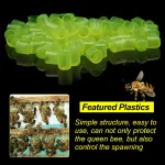 1 Set Beekeeping Cages King Queen Rearing System Plastic Bee Catcher Box Cell Cups Complete Kit Apicultura Tools Supplies 3