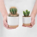 Self Watering Flowerpot Automatic Water Absorption Storage Round Double-layer Succulent Planter Pot Small Green Plant Flowerpot 5