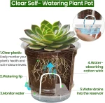 12 Pack 6.5 Inch Clear Self Watering Plant Pots with Bottom Water Tray & Watering Rope, Transparent Nursery Pots with Drainage f 4
