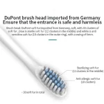 Electric Ultrasonic Toothbrush Six Speed Mode Home Soft Hair USB Charging Waterproof Adult Tooth Cleaner Automatic Couple Set 4