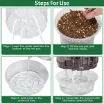 12 Pack 6.5 Inch Clear Self Watering Plant Pots with Bottom Water Tray & Watering Rope, Transparent Nursery Pots with Drainage f 3